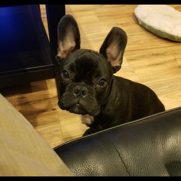 Meet your Posher, Meghan - Picture 2 of 2